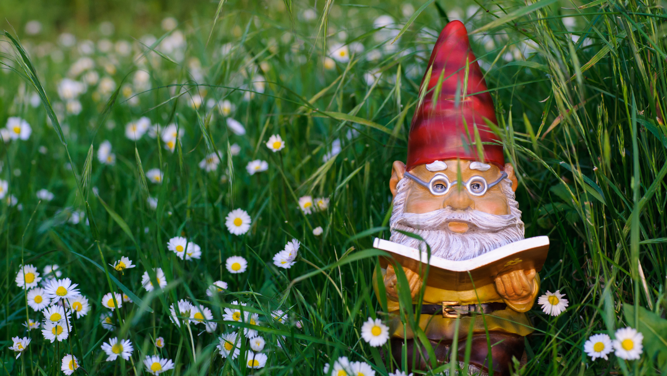 A knowing-looking garden gnome is reading a book while hiding in the grass