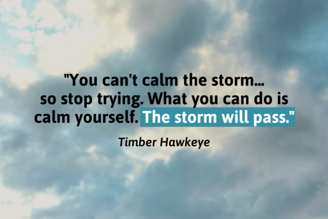 Timber Hawkeye quote: "You can't calm the storm... so stop trying. What you can do is calm yourself. The storm will pass."