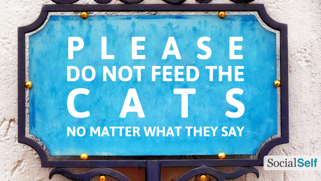A street sign reading: please, don't feed the cats, no matter what they say. 